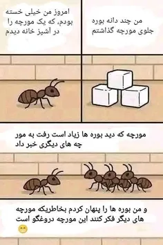 یه دونه انار دو دونه انار 