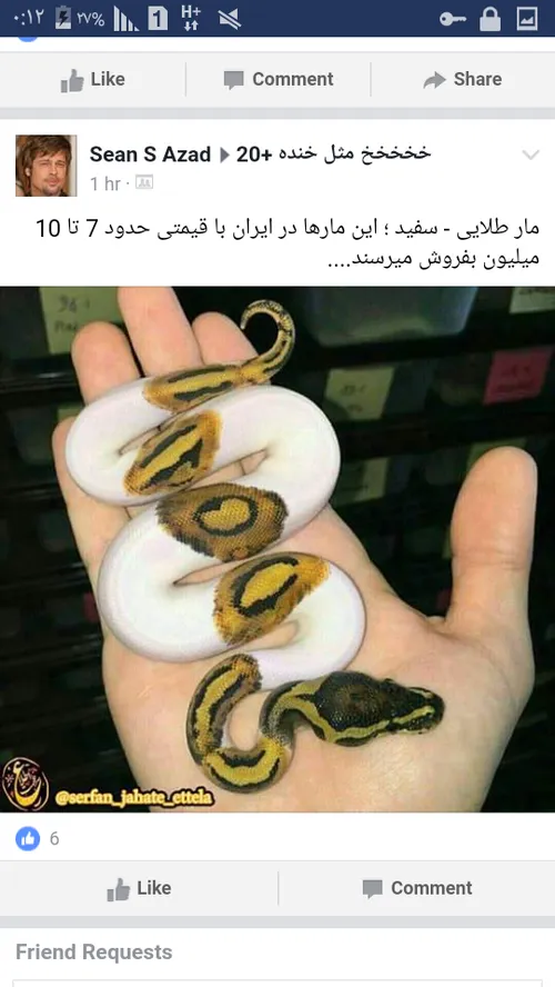 حیوانات asal.nabizadeh2114 18540837 - عکس ویسگون
