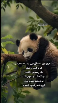 والاه بوخودا😅😅😅