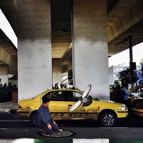 A taxi driver performs Islamic prayer by his cab at Seyed