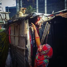 A young girl tries to catch her pet kitten in a slum in D
