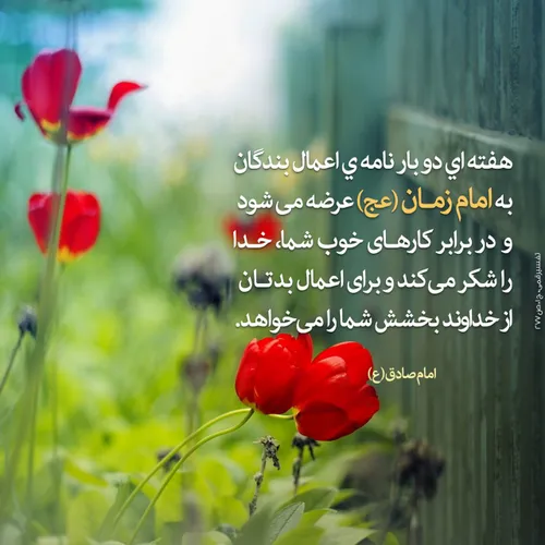 امام پدری مهربان دلسوز