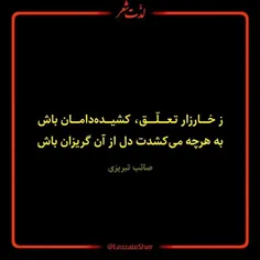 غلامِ همتِ آنم که زیرِ چرخِ کبود