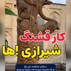 ایران زیبای ما❤️❤️🇮🇷🇮🇷 