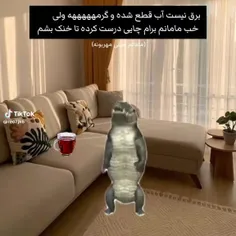 هعی  همه از این مامانا ندارن🤗