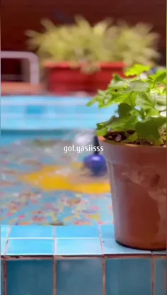 به دلتنگی قسم دردی شبیه دردِ دوری نیست