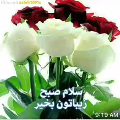 🌸زندگی واقعا چه زیبا 