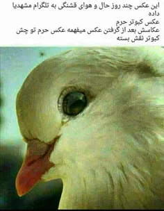 زیباست....