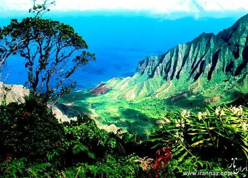 سواحل هاوایی.بهشت دیگر