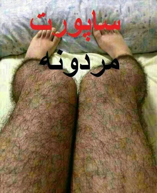 ساپورت مردا