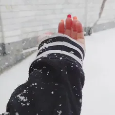 برف❄🌨