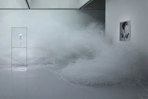 نقاشي باکريستال هاي درخشان اثر tokujin yoshioka هنومند ژا