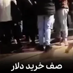 📲 حجت الاسلام دانشمند: اگه امشب شایعه بشه پشکل گرون میشه 