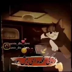 بیش نبود