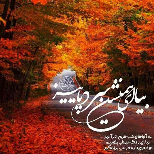 بیا ای همنشين سرد پاییز...