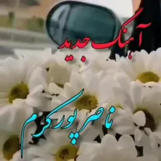 🎼 ناصر پور کرم