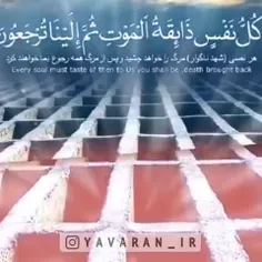 mohammadabbasikafsh 74661773