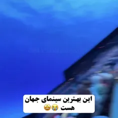 شگفت انگیزه