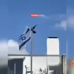 #کلیپ یه کلاغ میره پرچم اسرائیل رو ميندازه پایین یه عده ا