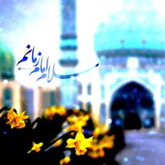 السَّلامُ عَلَيْكَ يَا حُجَّةَ اللّٰهِ فِى أَرْضِهِ 