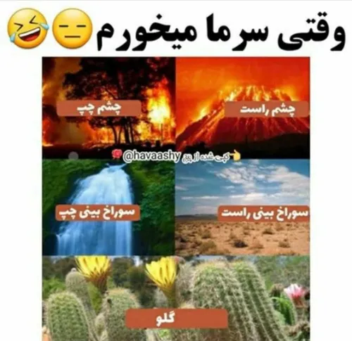 دقیقا😐😂☝️