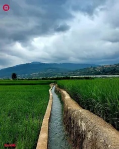 روستای علوی کلا کلیجان رستاق ؛ 