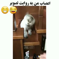 بچه ها دوست دارید شیپ فالور انجام بدم 