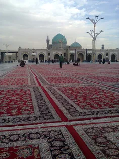 نایب الزیارة همه تون هستم