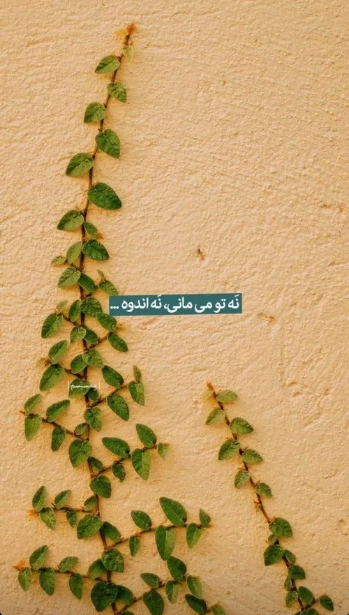 نه تو می مانی نه اندوه....