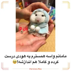 این داستان: همستر! 😂🐹