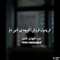 مرد تنهای شب 