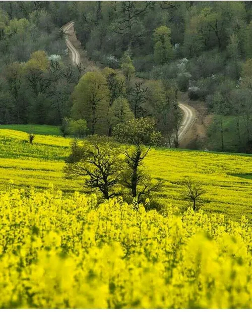 چهاردانگه زیبا،چهاردانگه یکی از بخش های شش گانه شهرستان س