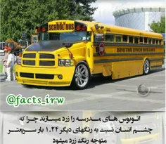 ️دلیل رنگ#زرد اتوبوس های مدرسه؟!🤔