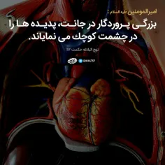 عاشقانه ها smohammad70 24909790