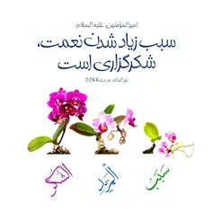 .سلام و ادب. ( عکس نوشته _ در محضر اساتید و بزرگان _ شکر ).
