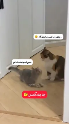 خودشون بودن شک ندارم😂😂