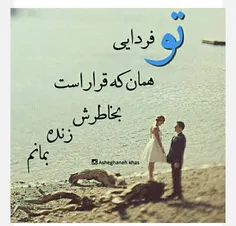 گوناگون yasi-16 16136967