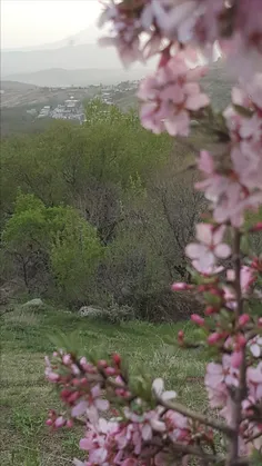 طبیعت زیبای شهر سرکان