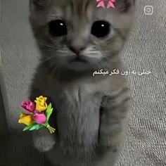 بکعلی | لـوســ★ــی