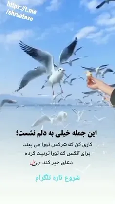 #استوری_جدید