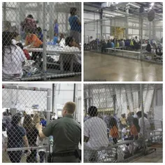نگهداری مهاجران در قفس!