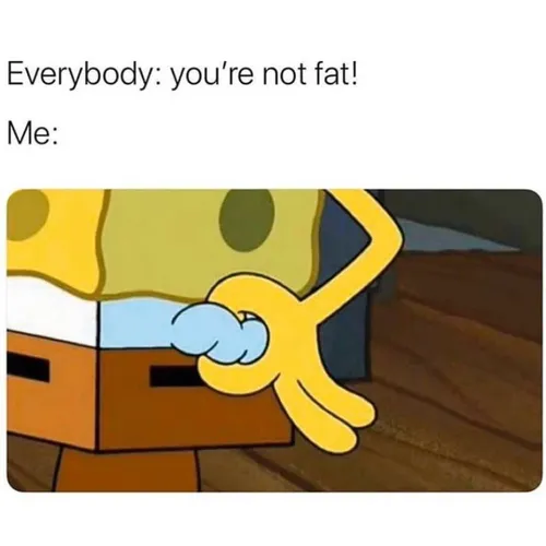 همه ی آدما: تو چاق نیستی!