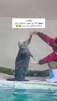 عهههه پیداش کردممم