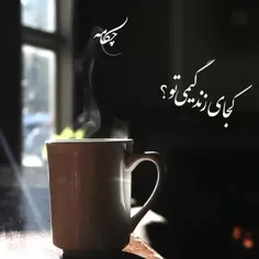 گاهی پر میشوی از ناگفته ها