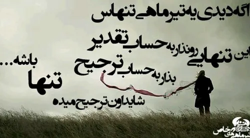 تیر ماهــی