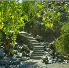 پله های منتهی به امامزاده جناب علی *ع*در قلعه گنج