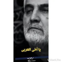 ای برادر عرب 