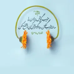 امام علی علیه السلام فرمودند... 