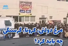 🎥 میدان بهمن ،تجمع مردم برای گرفتن حواله مرغ دولتی در شرا
