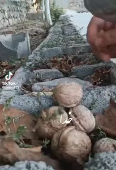 💬خیلی آرامبخش!